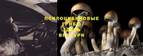 эйфоретик Алексин