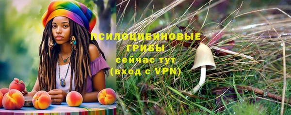 мяу мяу мука Абаза
