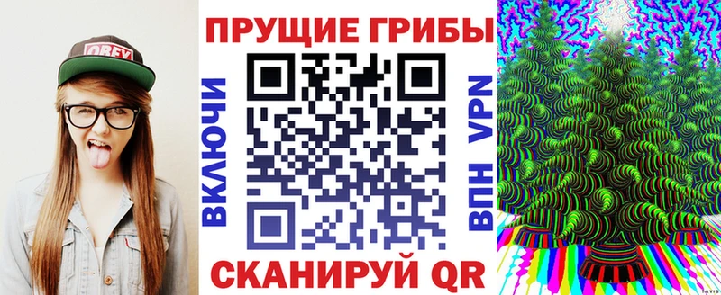 даркнет сайт  Бирюсинск  Псилоцибиновые грибы GOLDEN TEACHER 